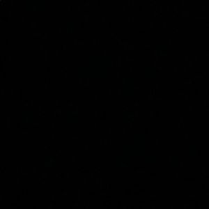 Meet your Posher, Roderick